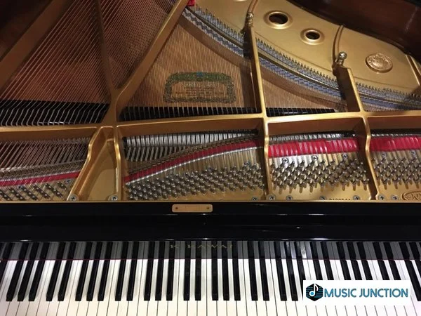 Kawai nx40 deals